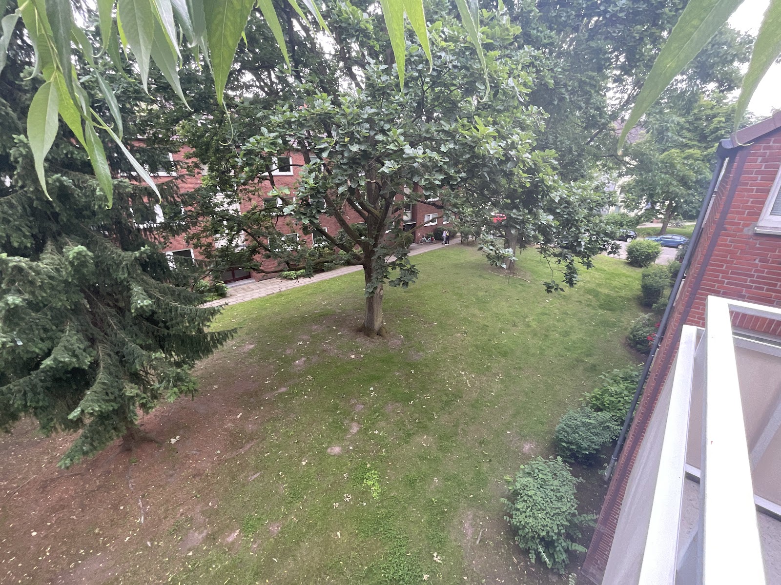 Aussicht vom Balkon