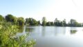 Der Teich in Cunnersdorf