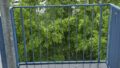 kleiner Balkon
