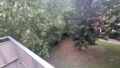 Aussicht vom Balkon
