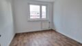 Zimmer2