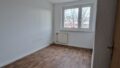 Zimmer3